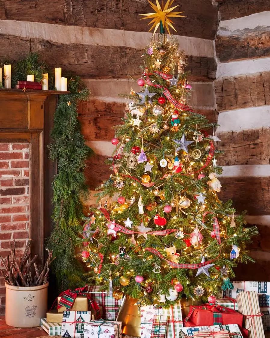 Brew & Bite Maitland